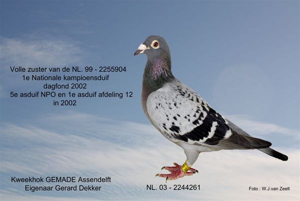 NL_03_2244261