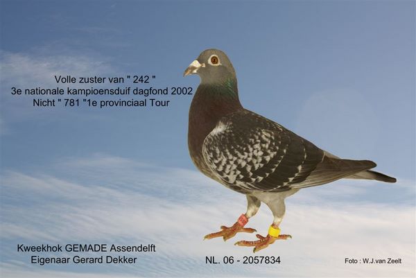 NL_06_2057834